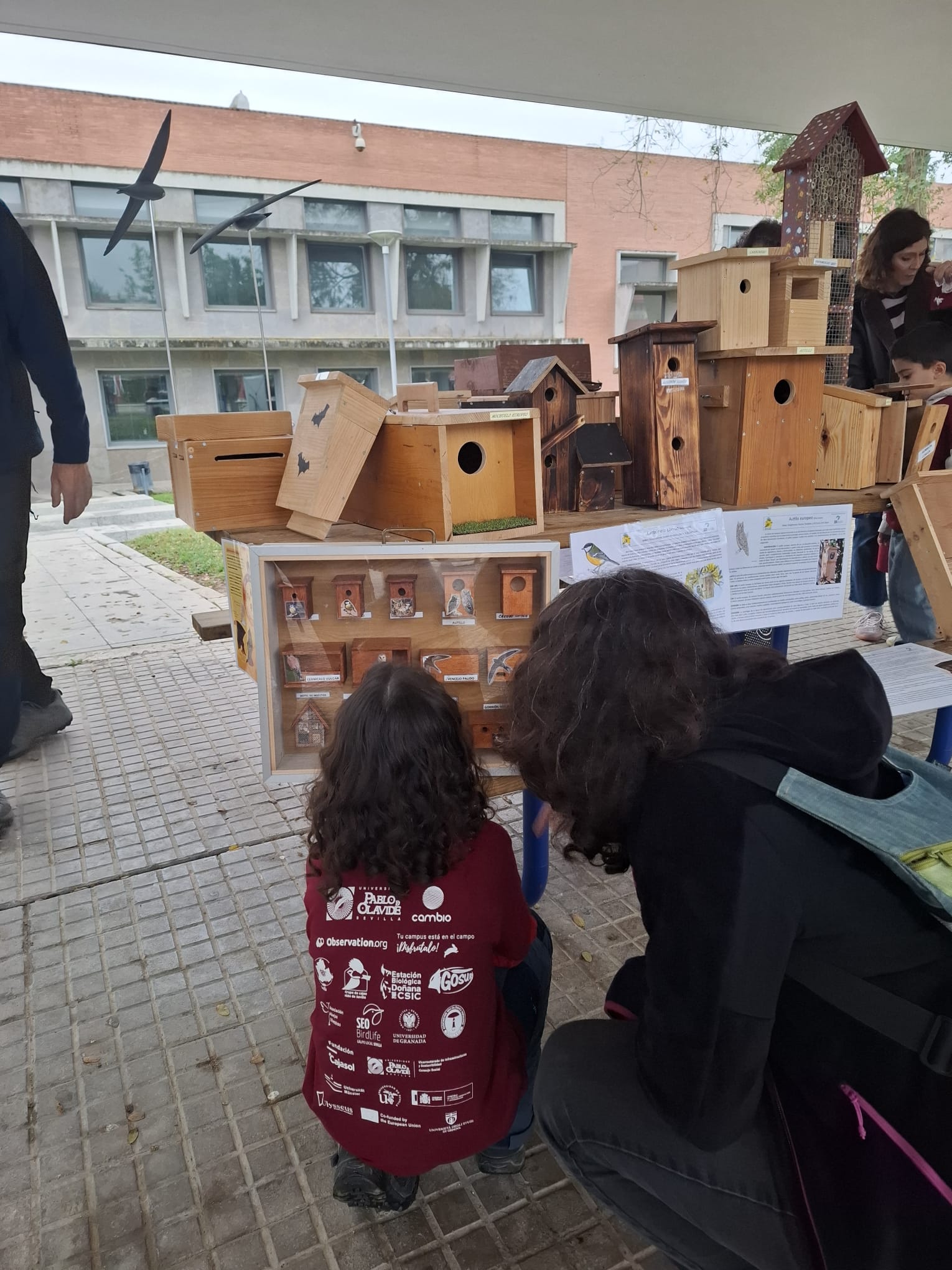 Taller de cajas nido en el VI BioBlitz de la UPO (11 de abril de 2026)