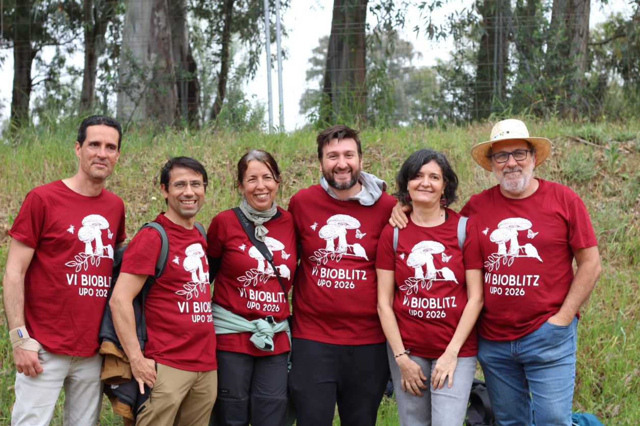 Equipo senior de investigación y educación