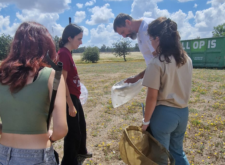 Capturando abejas en el campus de la UPO